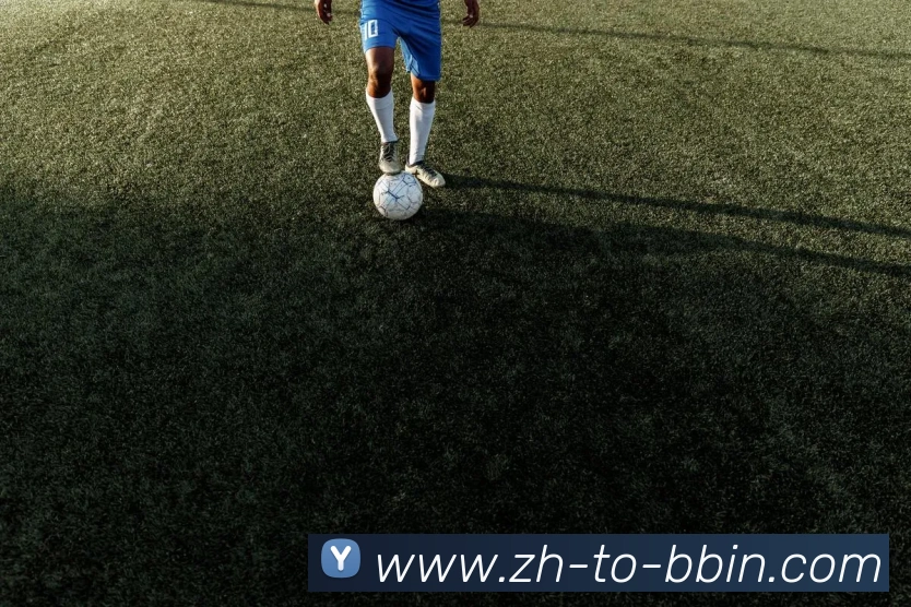 bbin宝盈平台生态图